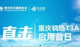 华龙直播在线观看,实时在线观看，畅享精彩瞬间